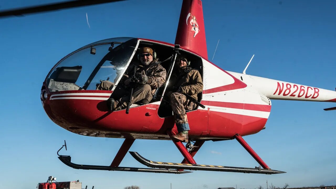 Chris and His Team's Incredible Helicopter Hog Hunt