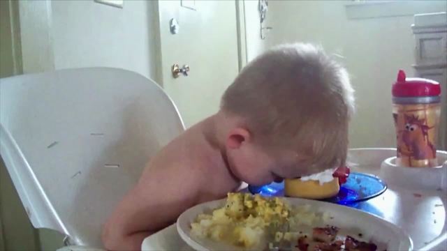 Tot Boy Falls Asleep During His Dinner