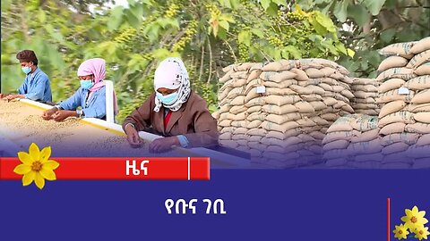 በነሐሴ ወር ለውጭ ገበያ ከቀረበ ቡና 140 ሚሊዮን ዶላር ገቢ መገኘቱን የኢትዮጵ ቡና እና ሻይ ባለስልጣን አስታወቀ።