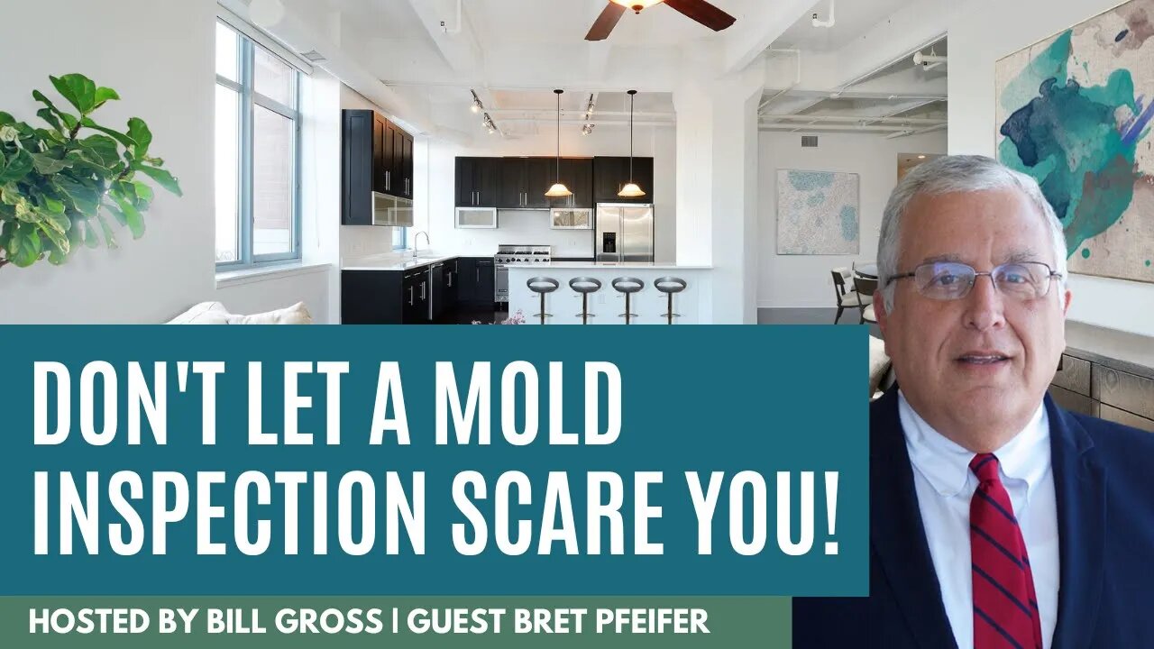 Don't Let a Mold Inspection Scare You!