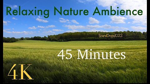 Tranquil Fields: 45-Minute Nature Retreat