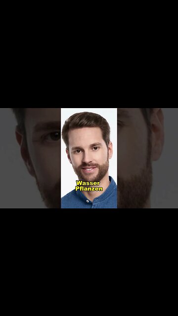 Wir haben kaum Wälder mehr #shorts