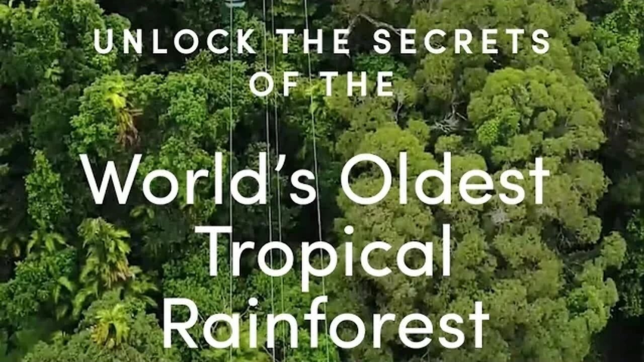 WORLD OLDEST TROPICAL RAINFOREST https://www.skyrail.com.au/