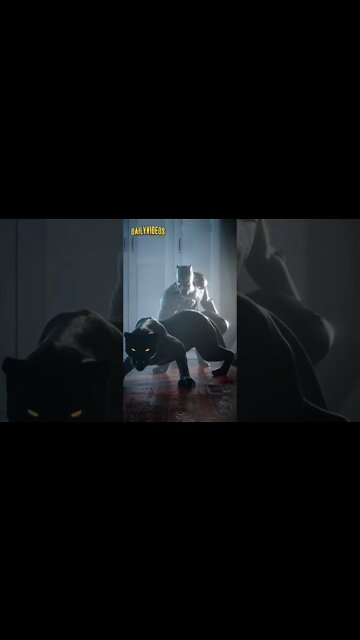 Turn Your Cat Into a Black Panther #cat #panther