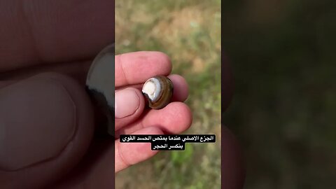 جزع يماني