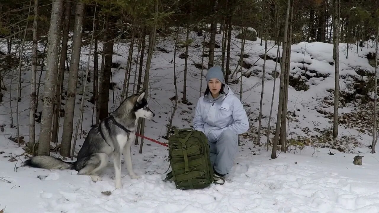 Winter Bushcraft: Camping with my Husky (-20⁰C)40 2