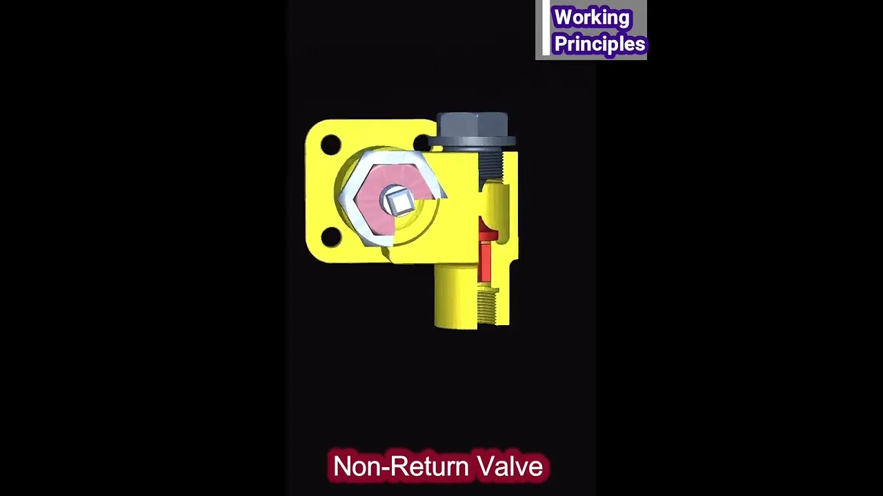 Working Principles of Non Return Valve