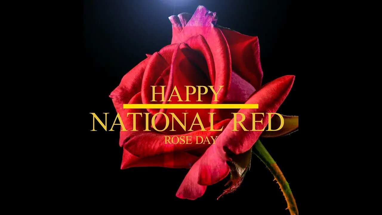 National Red Rose Day