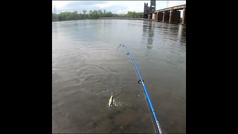 Fishing with a rooster tail