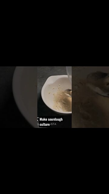 MAKE SOURDOUGH STARTER CULTURE
