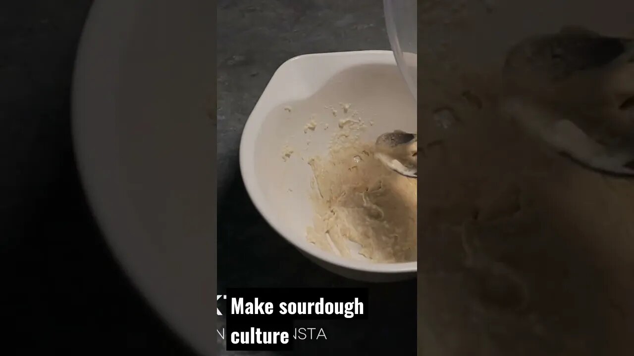 MAKE SOURDOUGH STARTER CULTURE