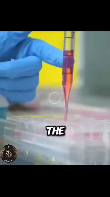 America If Meat Seems Different, That’s Because It Probably Is