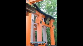 1000 Torii Gates (pt 2)