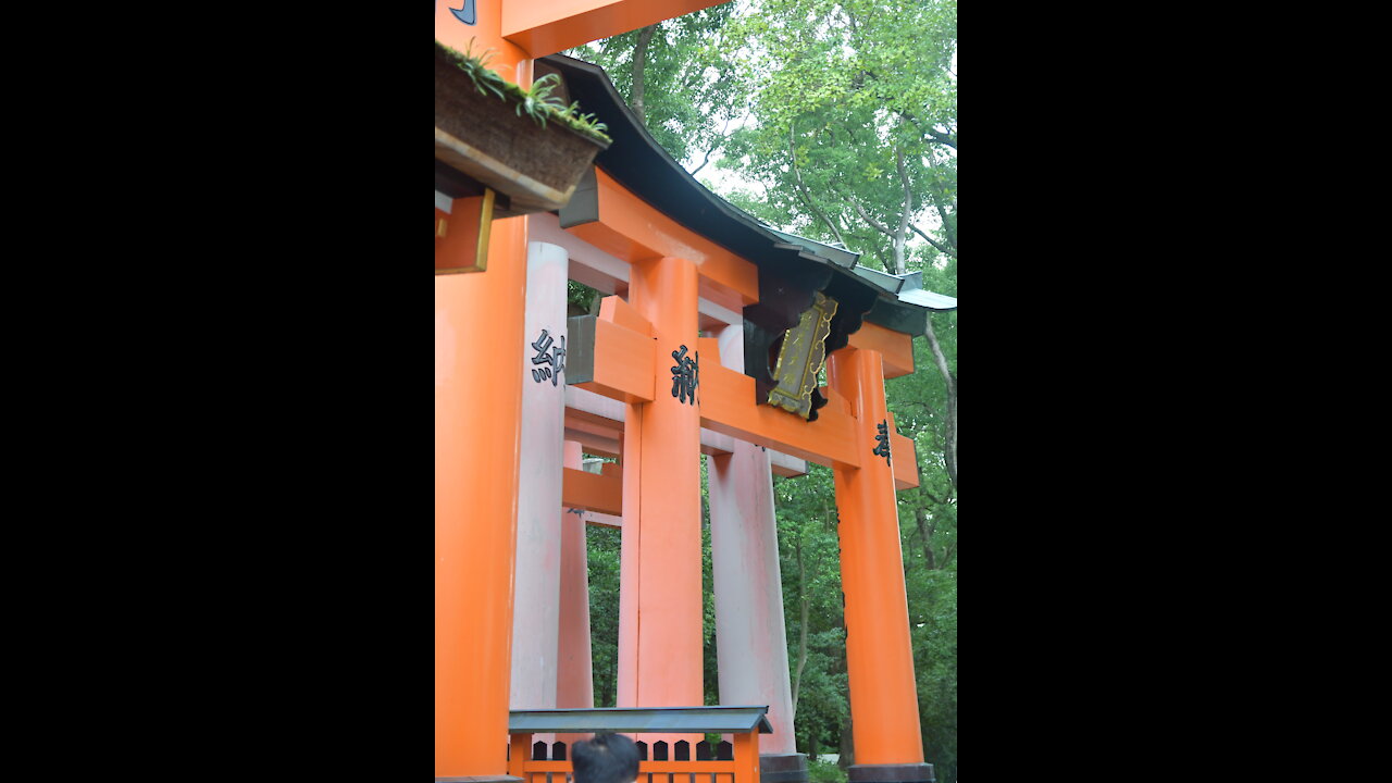 1000 Torii Gates (pt 2)