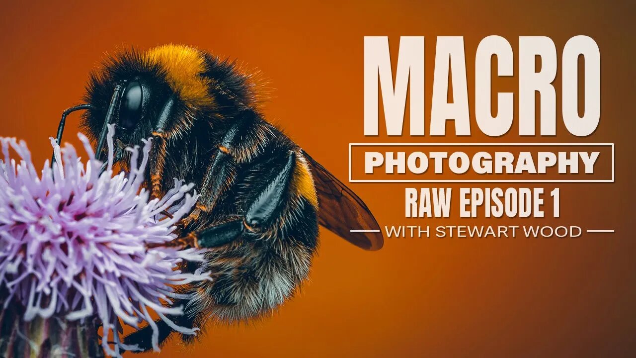 Macro Photography RAW - Episode 1 Tackeroo Pools