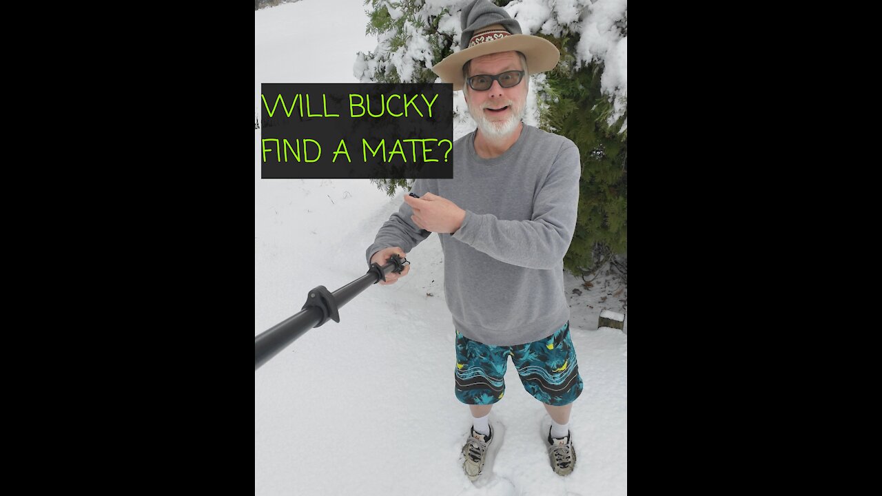 Will Bucky find a Mate?