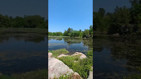 Otter Creek Preserve #hike #walk #trails #upstateny