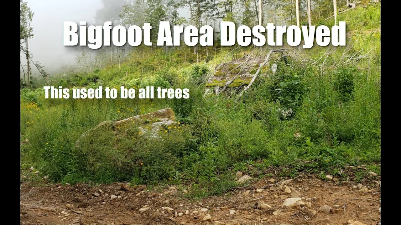 Bigfoot Area & History Destroyed