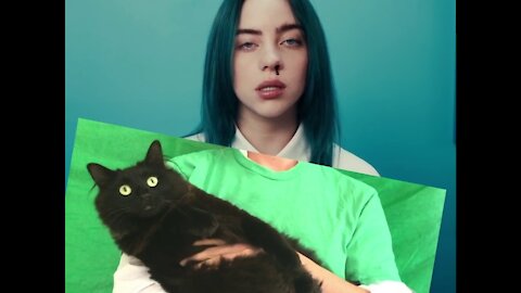 Billie Eilish + OwlKitty - Bad Cat (Behind the Scenes)