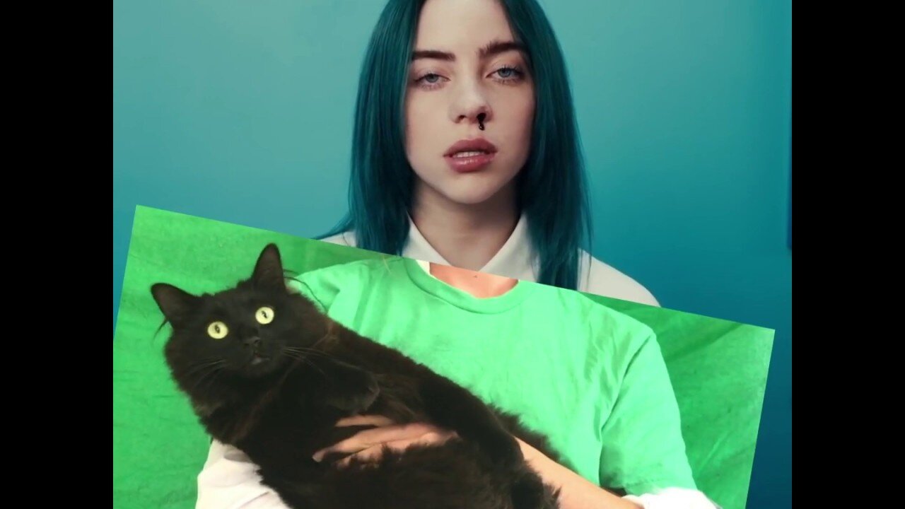 Billie Eilish + OwlKitty - Bad Cat (Behind the Scenes)
