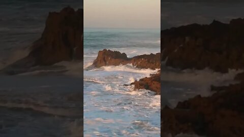 Beach Life, Ocean Rocks, Sea Waves