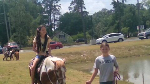 Horses, dogs. Riding a real horse, very cool.