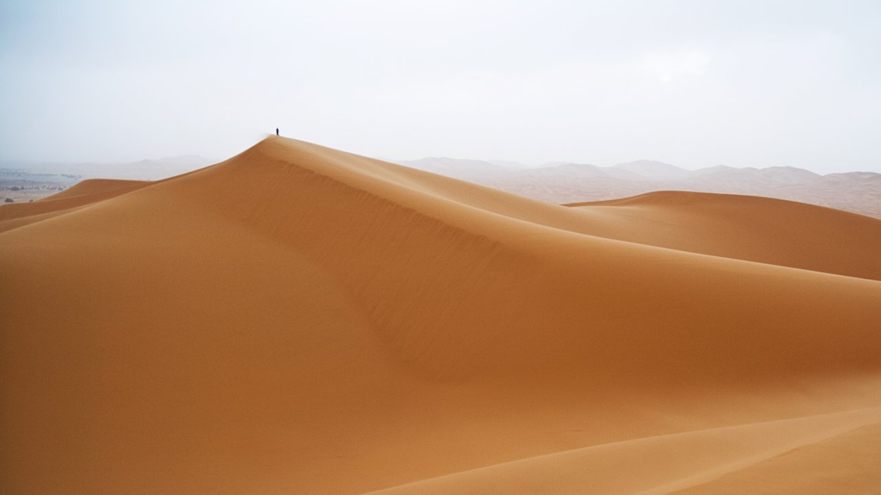 Spanish Official Says Trump Told Him To Build A Wall On The Sahara