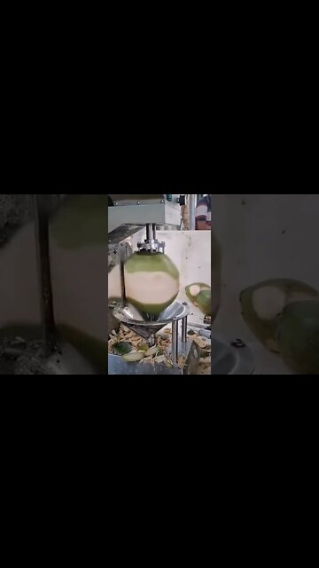 Best Videos Of Funny Twin Babies Compilation - Twins Baby Video