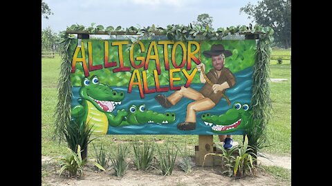 ALA Gators!