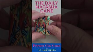 Polymer Clay Natasha Cane