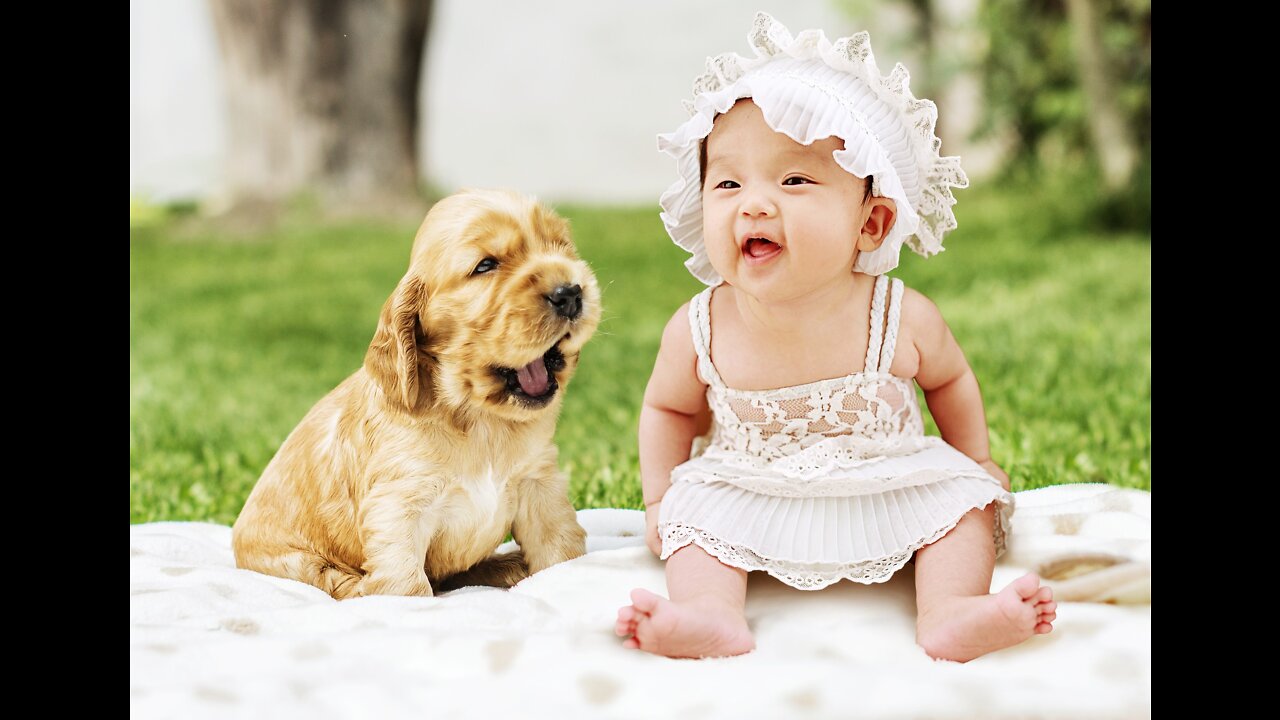 Cute and funny baby dogs video