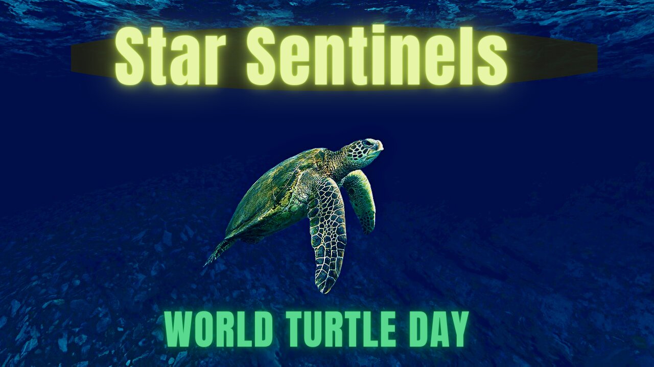 Star Sentinels ~ Galactic Center Pleiadian Energies ~ WORLD TURTLE DAY ~ Dragon Riders Have Returned