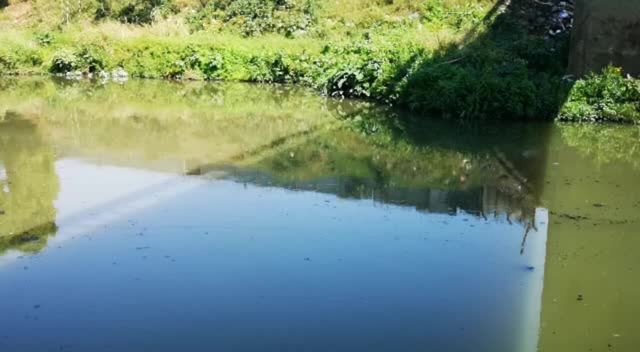 SOUTH AFRICA - Durban - Oil leaks into river (VIdeos) (yGs)