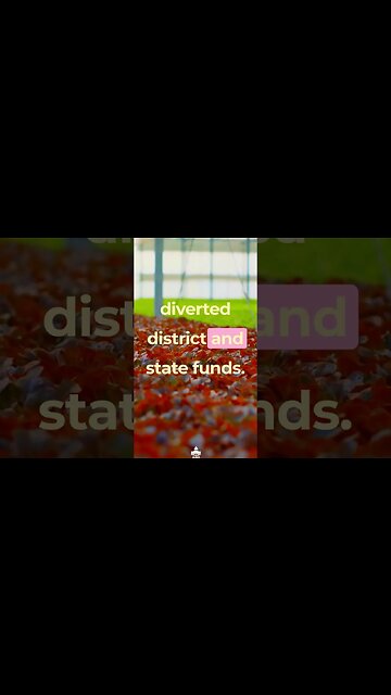 Public Education is Getting Stripped with Billionaire Dark Money! ASMR Field Flowers Patterns Pt4