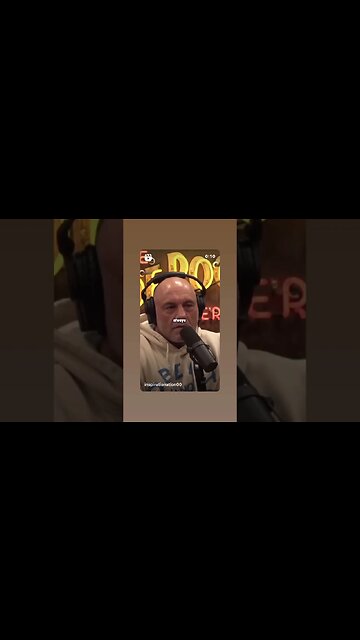 Real Fear Is Never Reaching Your Potential | Joe Rogan Motivation #shorts