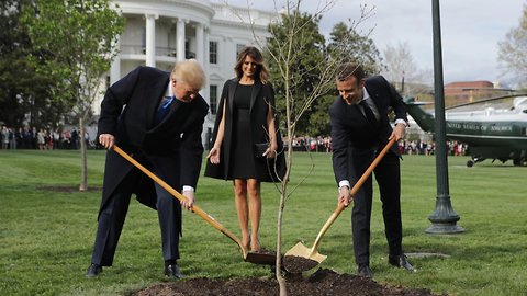 Here's Why The Tree Macron Gave Trump Disappeared From The White House