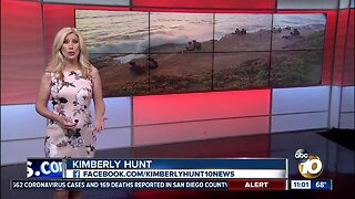 10News at 11pm Top Stories