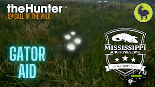 The Hunter: Call of the Wild, Gator Aid, Mississippi Acres (PS5 4K)
