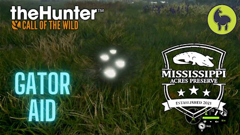 The Hunter: Call of the Wild, Gator Aid, Mississippi Acres (PS5 4K)