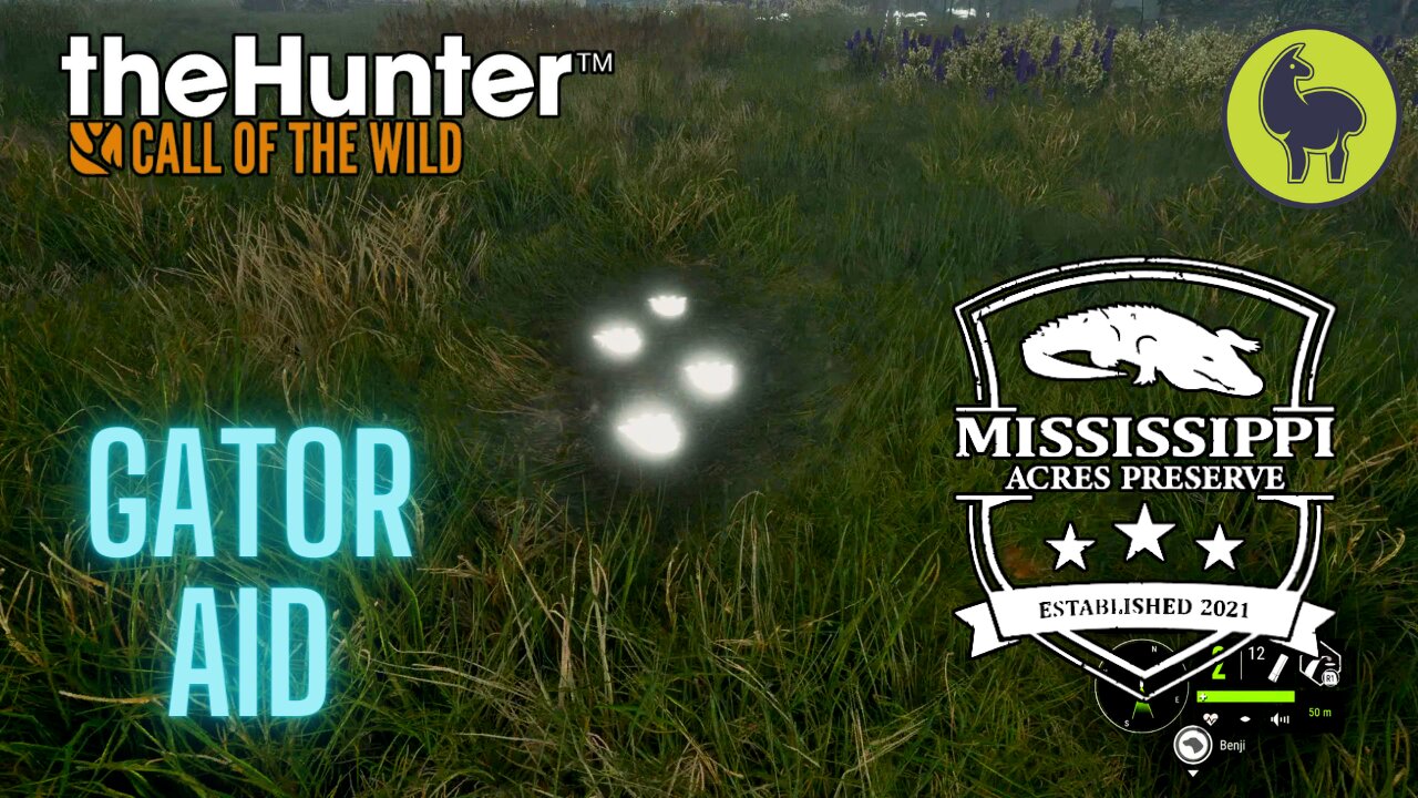 The Hunter: Call of the Wild, Gator Aid, Mississippi Acres (PS5 4K)