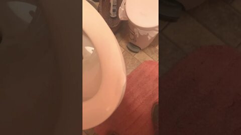 Why Doesn’t EVERY 🚽 Have One of These?!