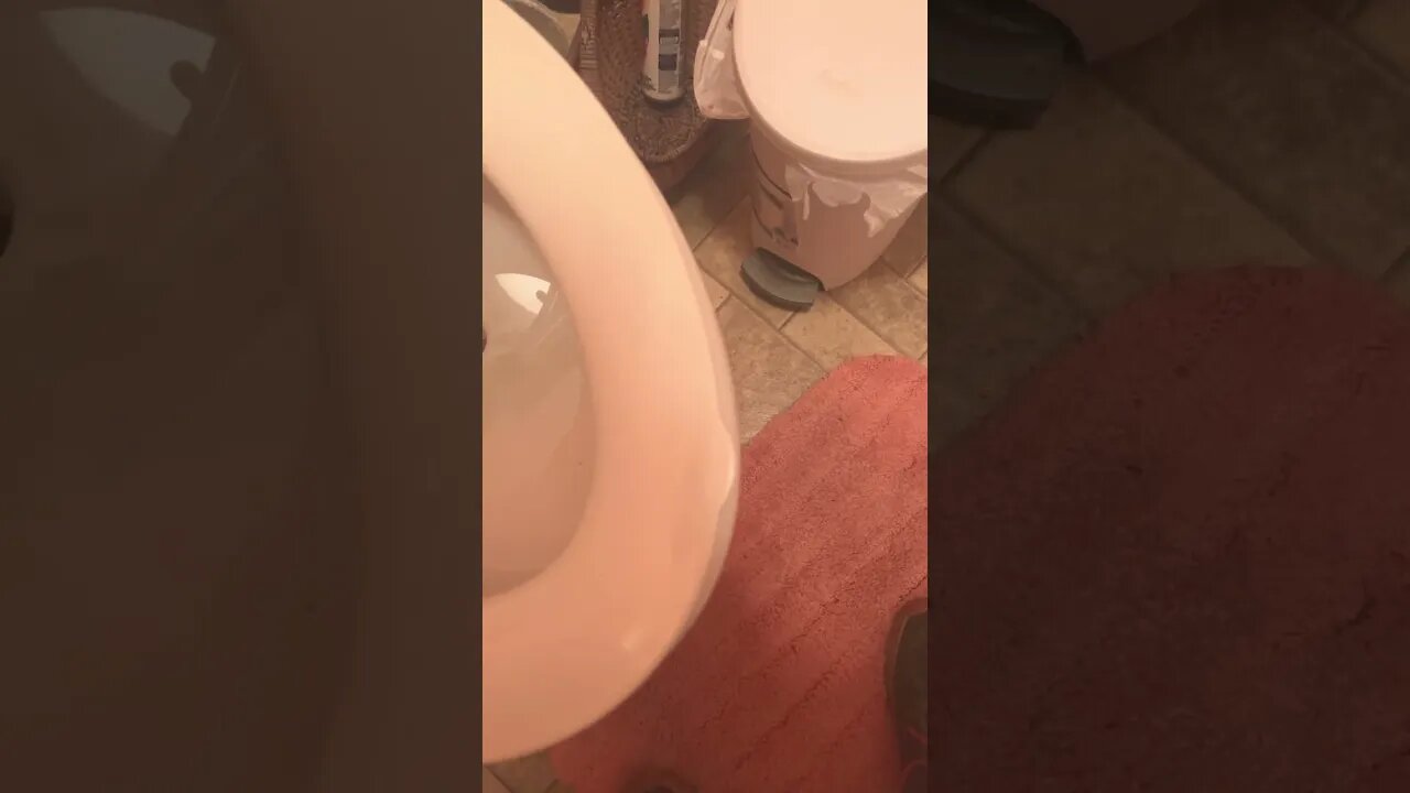 Why Doesn’t EVERY 🚽 Have One of These?!