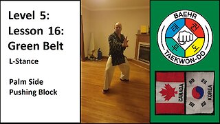 Baehr Taekwondo: 05-16: Green Belt: L-Stance - Palm Side Pushing Block