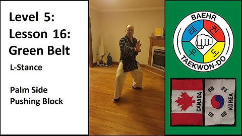 Baehr Taekwondo: 05-16: Green Belt: L-Stance - Palm Side Pushing Block