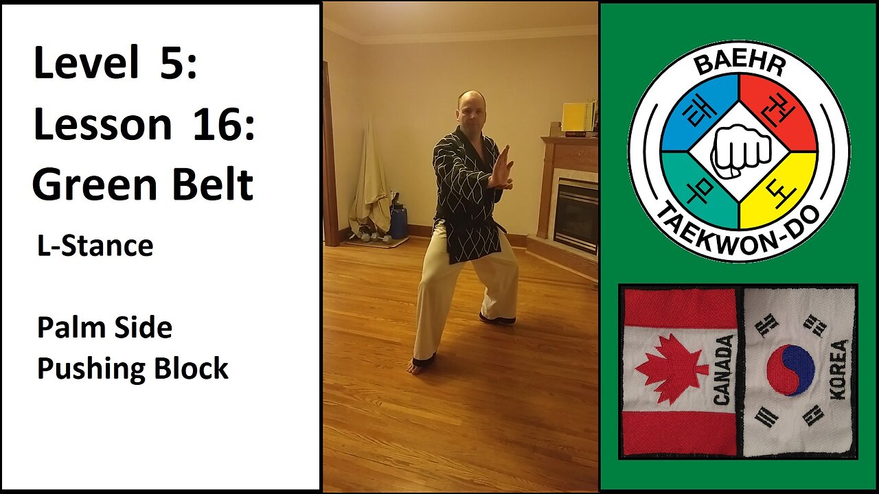 Baehr Taekwondo: 05-16: Green Belt: L-Stance - Palm Side Pushing Block