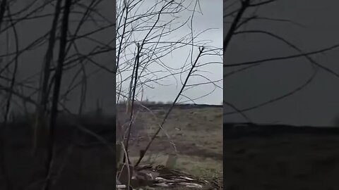 Ukrainian defenders #shorts