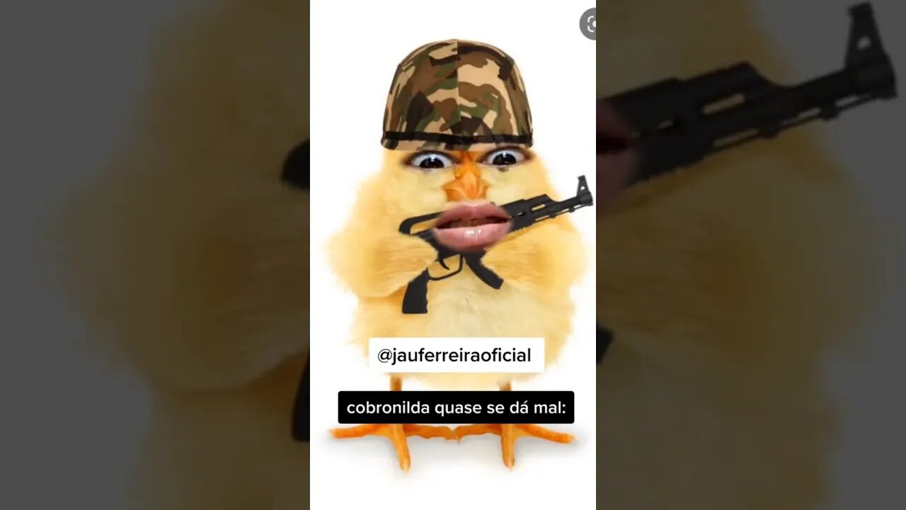 já ta no papo galinhaonildes