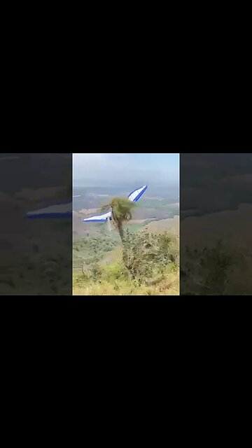 That´s the only one and...