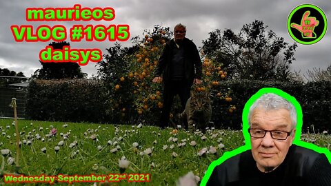 maurieos VLOG #1615 daisys