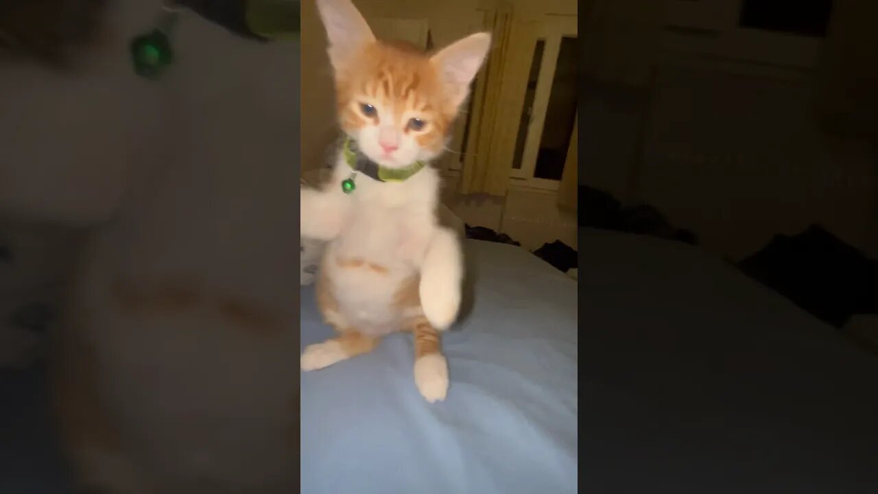 Look at his style before attack 😻